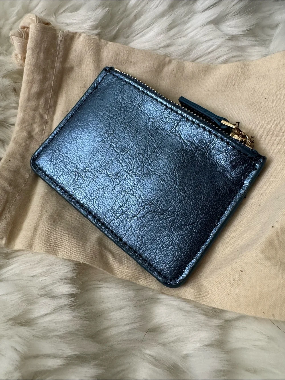 Sezane Alfredo Coin Case in Metallic Blue